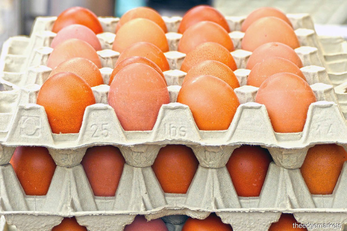 Shortage of eggs due to stock delay, longer holidays | KLSE Screener